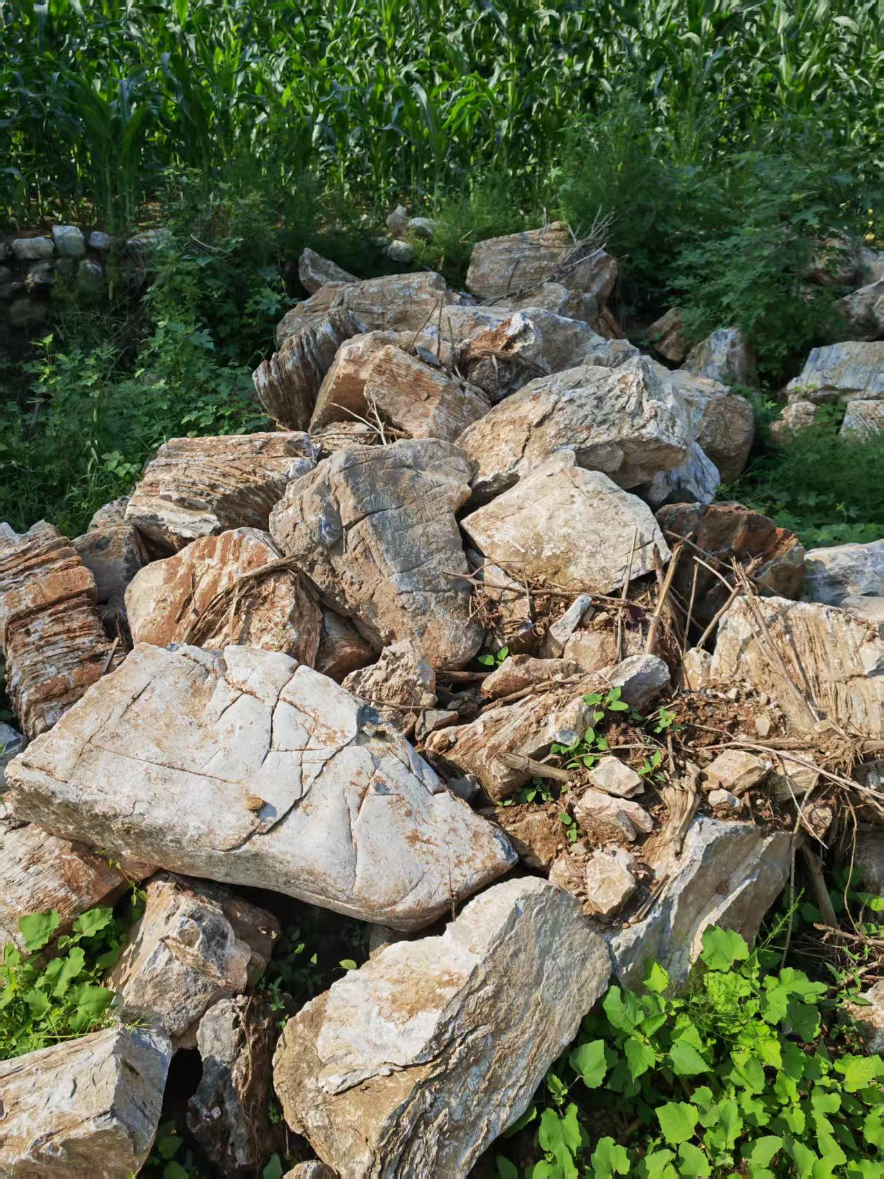 陜西咸陽園林假山噴泉 學(xué)校假山現(xiàn)場施工