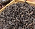 品味岁月沉淀，梧州山塘岐陈年六堡茶的匠心传承
