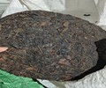 梧州山塘岐：传承三世纪的六堡茶品牌